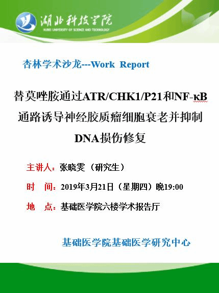 杏林学术沙龙 第五十一期 替莫唑胺通过atr chk1 p21和nf kb通路诱导神经胶质瘤细胞衰老并抑制dna损伤修复 基础医学院
