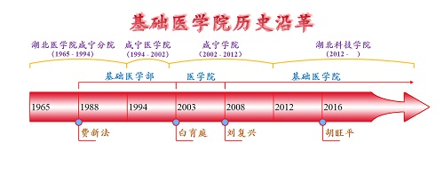 基礎醫學院歷史沿革 基礎醫學院歷史沿革