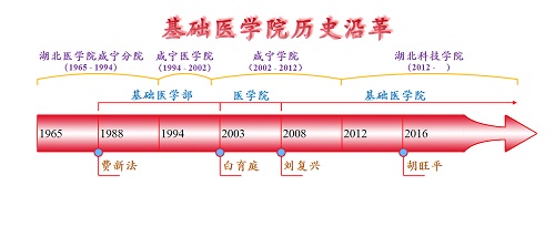 基础医学院历史沿革